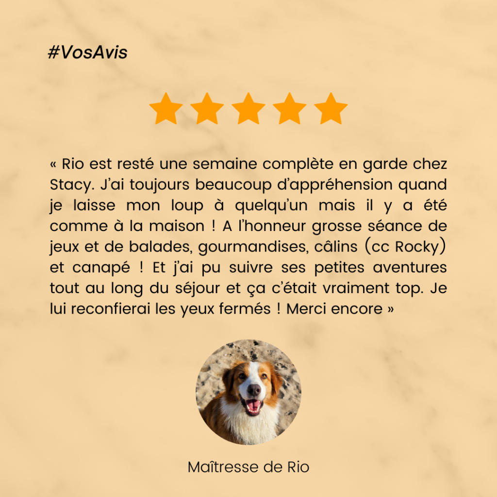 Garde chien, pension chien, garde canine, fos sur mer, martigues, miramas, istres, port de bouc, dog sitter, pet sitter