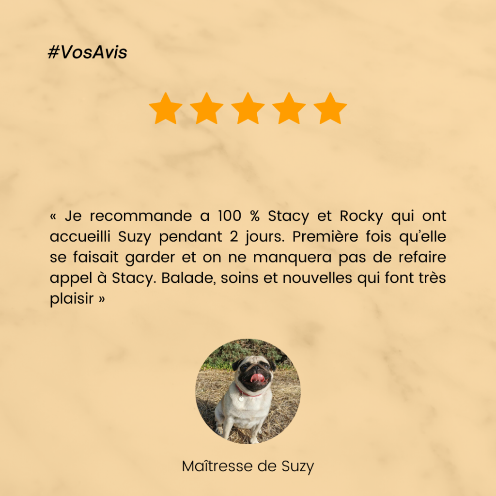 Garde chien, pension chien, garde canine, fos sur mer, martigues, miramas, istres, port de bouc, dog sitter, pet sitter