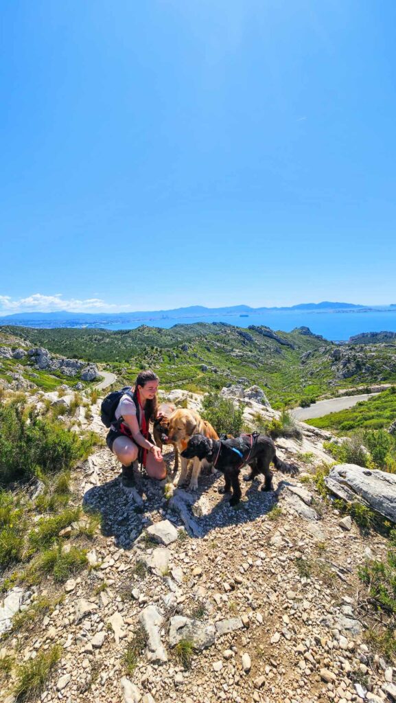 Garde chien, pension chien, garde canine, fos sur mer, martigues, miramas, istres, port de bouc, dog sitter, pet sitter