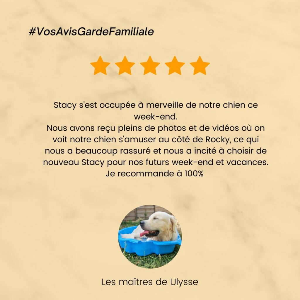 catsitter, garde chat, visite à domicile chat, Garde chien, pension chien, garde canine, fos sur mer, martigues, miramas, istres, port de bouc, dog sitter, pet sitter