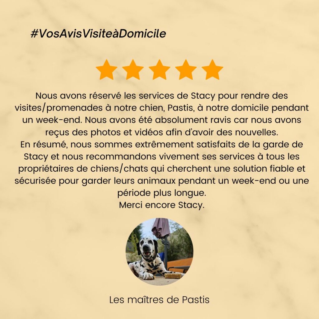 catsitter, garde chat, visite à domicile chat, Garde chien, pension chien, garde canine, fos sur mer, martigues, miramas, istres, port de bouc, dog sitter, pet sitter