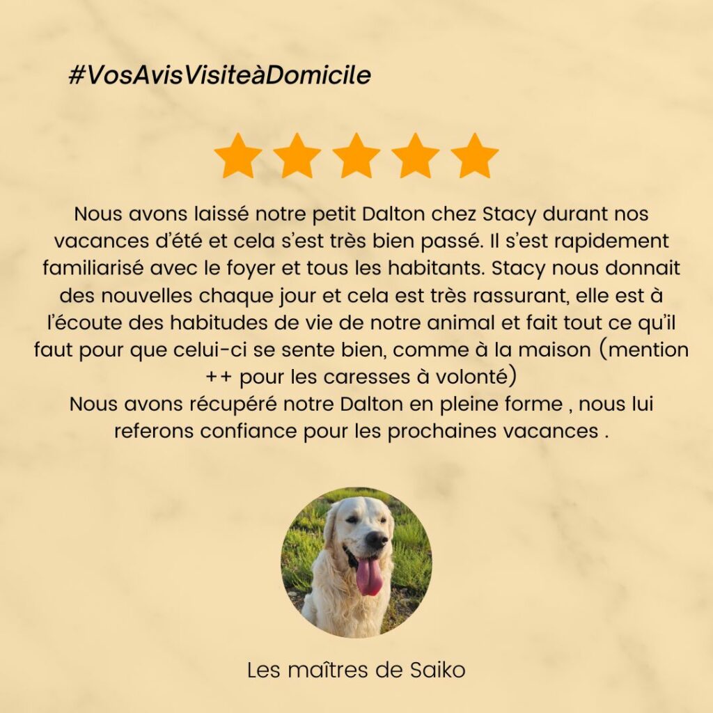 catsitter, garde chat, visite à domicile chat, Garde chien, pension chien, garde canine, fos sur mer, martigues, miramas, istres, port de bouc, dog sitter, pet sitter