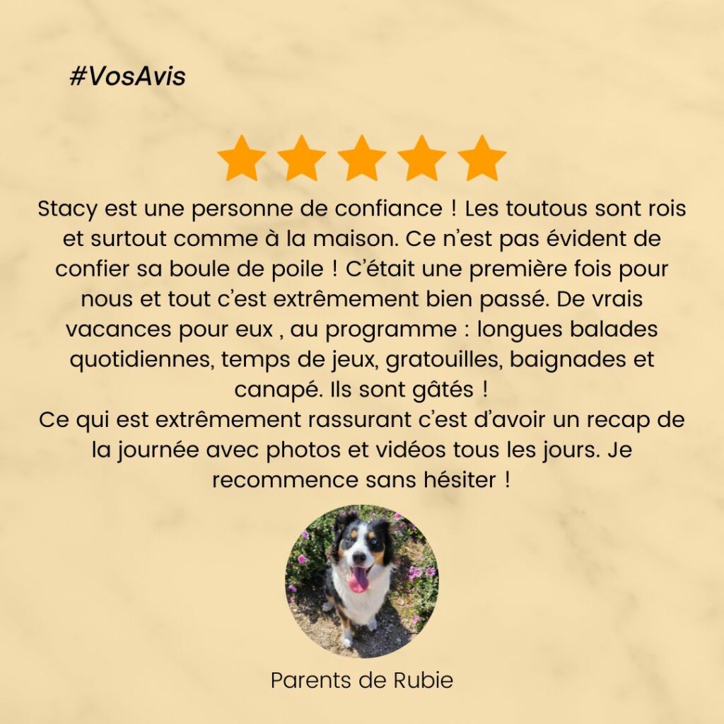 catsitter, garde chat, visite à domicile chat, Garde chien, pension chien, garde canine, fos sur mer, martigues, miramas, istres, port de bouc, dog sitter, pet sitter