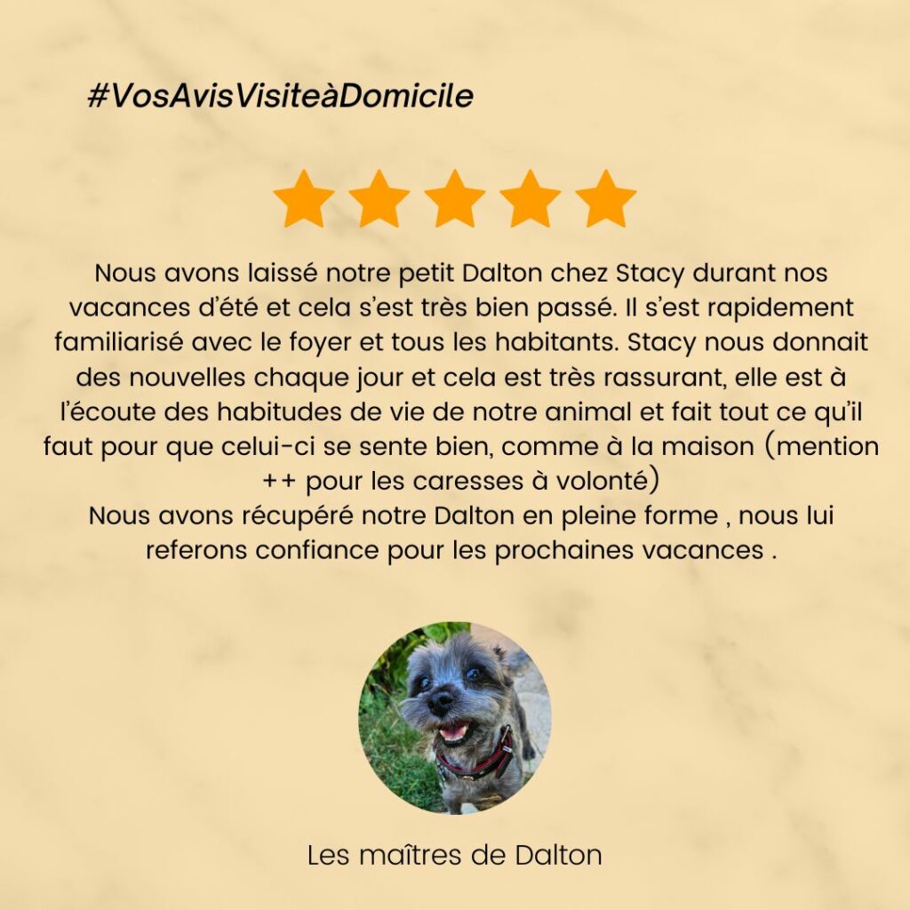 catsitter, garde chat, visite à domicile chat, Garde chien, pension chien, garde canine, fos sur mer, martigues, miramas, istres, port de bouc, dog sitter, pet sitter